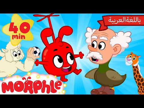 Morphle Arabic | كرتون مورفل بالعربي | قصص مورفل و ميلا | حلقة خلاط الحيوانات