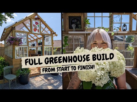 How To Make a DIY Backyard Greenhouse | FULL BUILD | DIY Danie