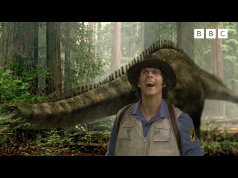 Diplodocus and Fern | Andy's Dinosaur Adventures | Andy's Amazing Adventures