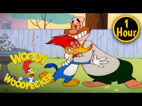 1 Hour of Woody Woodpecker Full Episodes | Woody and Wally Become Friends