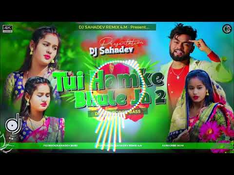 Tui Hamke Bhule Ja (Part-2) |  তুই হামকে ভুলে যা 2| Kundan Kanika NewSad Song