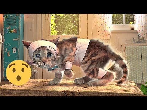 Kleines K&auml;tzchen unterwegs 🙀 Ein s&uuml;&szlig;es Katzen Spiel f&uuml;r Kinder (deutsch)