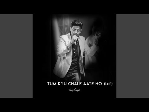 Tum Kyu Chale Ate Ho (Lofi)