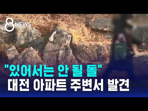 &quot;있어서는 안 될 돌&quot;&hellip;대전 아파트 주변 공원서 발견 / SBS 8뉴스