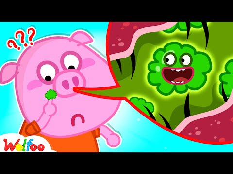 Why Are There Boogers in the Nose? - Wolfoo Educational Videos for Kids 🤩 