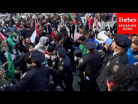DRAMATIC FOOTAGE: NYPD Arrests Some Pro-Palestinian Protesters Demonstrating In NYC On Thanksgiving