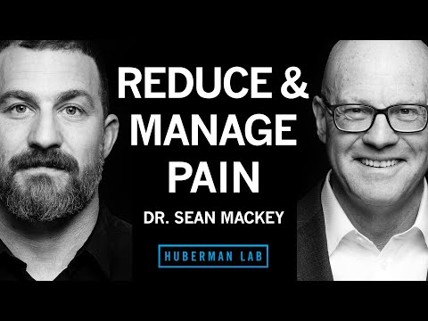 Dr. Sean Mackey: Tools to Reduce &amp; Manage Pain