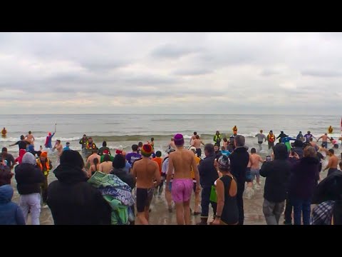 Hundreds take the plunge in Oakville for 39th annual Courage Polar Bear Dip