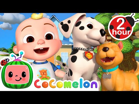 Puppy's Can Have Playdates Too! | CoComelon Kids Songs &amp; Nursery Rhymes