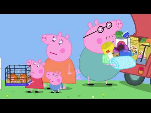 Peppa Pig | Guinea Pig | Peppa Pig Official | Family Kids Cartoon