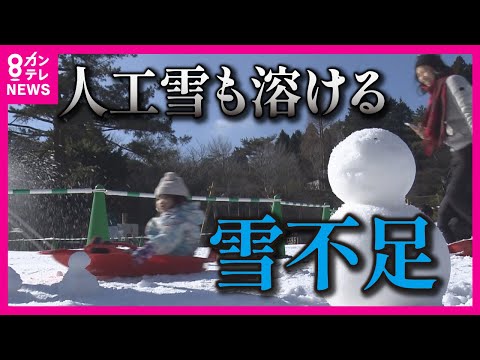 【年末年始は10年に一度の暖かさ】スキー場からは悲鳴　10年に一度の最強寒波襲来から一転 人工雪も溶けてしまう可能性あり【関西テレビ・newsランナー】