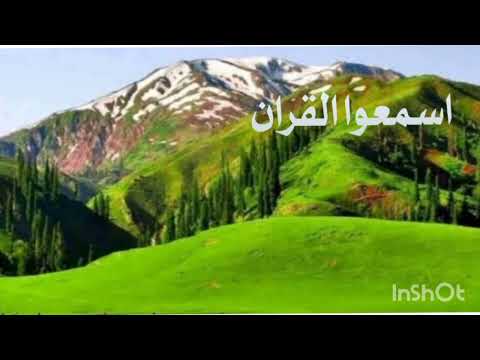 احسن التلاوة سورة يسن.Surah Yassen. beautiful Recition by Shaikh Qari Ghani Aqil.