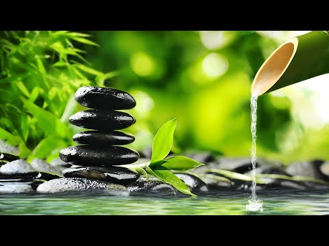 Relaxing Piano Music Bamboo Water Fountain, Sleep Music, Relaxing Music, Meditation Music