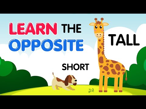 LEARN the OPPOSITE with Animals for Kids