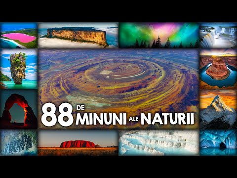 88 de MINUNI ale NATURII