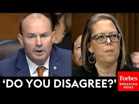 'Am I Misreading Your Statement?': Mike Lee Grills Judicial Nominee About Her Past Writings