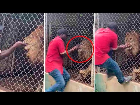 Damn Nature You Scary | Rare &amp; Scary Animal Encounters 😱 #2