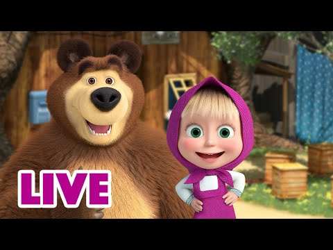 🔴 LIVE STREAM 🎬 Masha and the Bear 🎤📺Our next guest is... 🎤📺