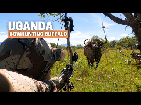 Bowhunting Buffalo in Karamoja: Wildest hunt I have experienced!