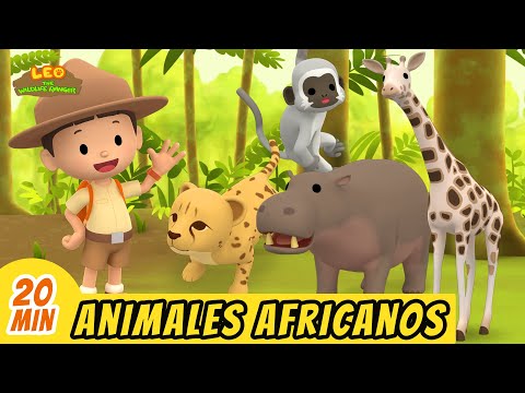 Animales Africanos Episodio Compilaci&oacute;n (Espa&ntilde;ol) - Leo, El Explorador | Animaci&oacute;n - Familia - Ni&ntilde;os