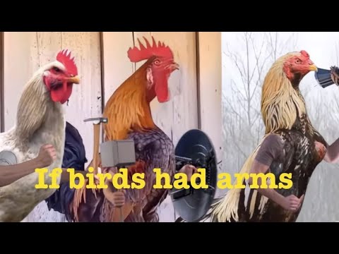 If birds had arms