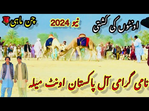 Kha Ap ny Asa Mahol Dakha hy?2024 اونٹوں کی کُشتی دنگل میلہ