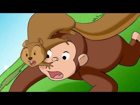 Curious George 🐵 1 Hour Compilation 🐵 HD 🐵 Videos For Kids