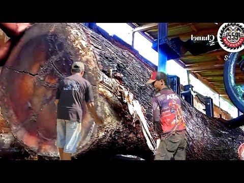 The Process of Creating Thick Boards from Rare and Most Expensive Trees || Sawmill