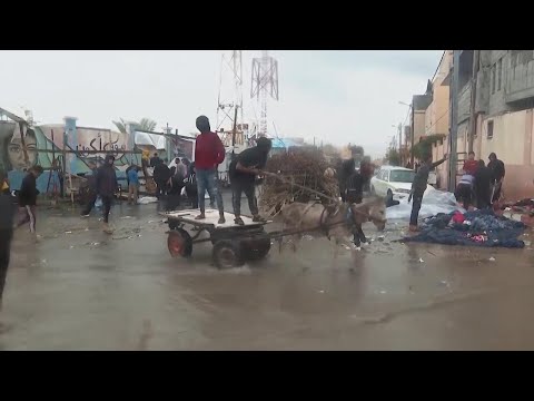 Palestinians struggle in overcrowded UN shelter in southern Gaza