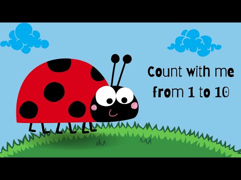 Ayami's Counting Adventure.Funny Ladybird 🐞🐝