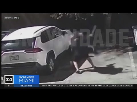 Caught on camera: MMA fighter stops knife attacker