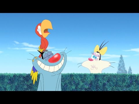 Oggy and the Cockroaches - Buddy Parrot (S04E13) Full Episode in HD