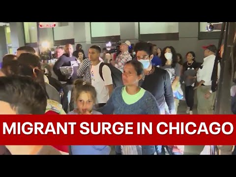 Migrants flown to Chicago's O'Hare airport on private plane from Texas