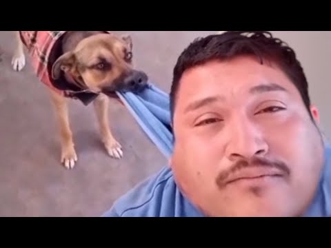 UNUSUAL MEMES COMPILATION V247