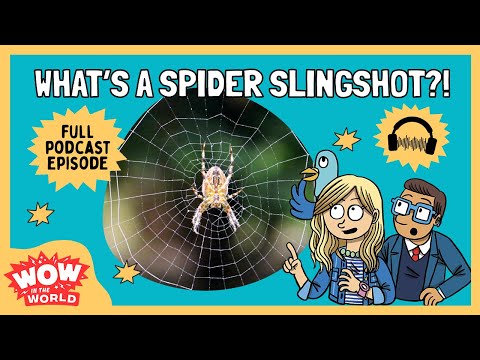 What is a Spider Slingshot?! | Wow in the World | Podcast for Kids | Full Episode