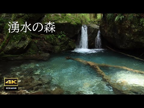 4K video + natural sound ASMR / Forest of rock moss and spring water Okuise Yaedani Yusui