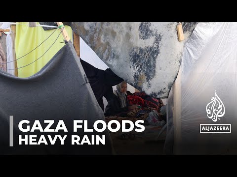 Gaza's rain crisis: 1.9M displaced Palestinians struggle in makeshift tents