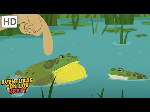 Criaturas semi-acu&amp;aacute;ticas | Ranas, cocodrilos + m&amp;aacute;s [episodios completos] Aventuras con los Kratt