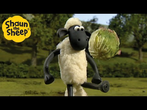 Shaun the Sheep 🐑 The Football Tournament ⚽ Full Episodes Compilation [1 hour]