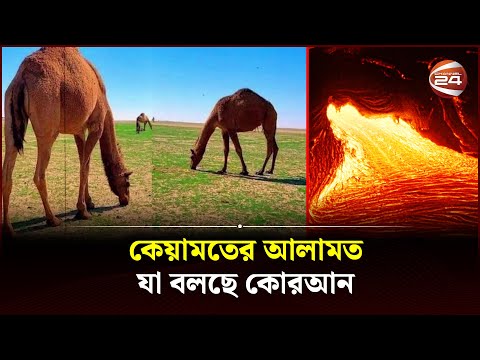 সবুজে ছেয়ে যাচ্ছে মক্কার মরুভূমি; তবে কী কেয়ামত নিকটে? | Macca | Desert | Channel 24