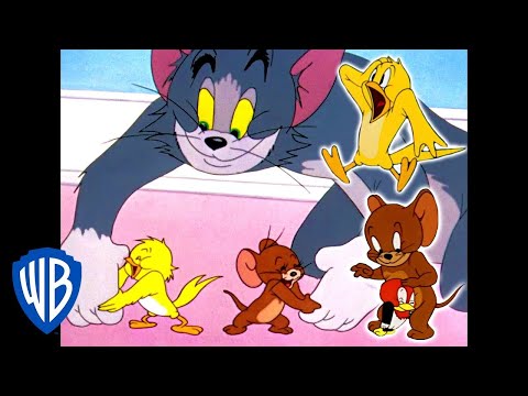 Tom und Jerry auf Deutsch | Angriff der V&ouml;gel | WB Kids