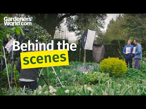 Behind the scenes with Monty Don and Alan Titchmarsh