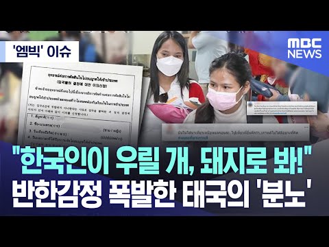 ['엠빅' 이슈] &quot;한국인이 우릴 개, 돼지로 봐!&quot; 반한감정 폭발한 태국의 '분노' (2023.11.02/엠빅뉴스)