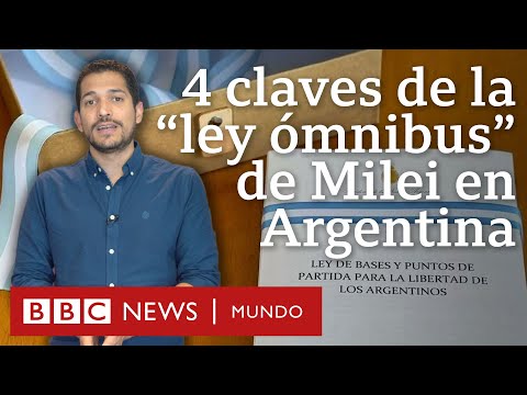 4 claves de la ambiciosa y pol&eacute;mica &ldquo;ley &oacute;mnibus&rdquo; de Javier Milei en Argentina | BBC Mundo