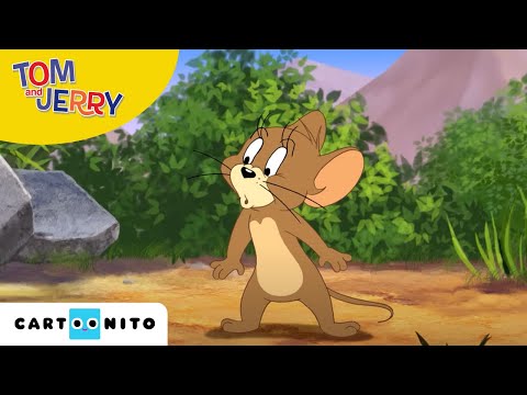 Tom i Jerry Show | Zesp&oacute;ł jakich mało | Cartoonito