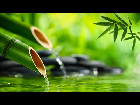 Relaxing Sleep Music 🌿 Deep Sleeping Music, Relaxing Music, Stress Relief, Meditation Music