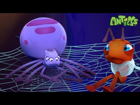 Spider Baby 🔴NEW EPISODE🔴| Funny Cartoons For All The Family! | Funny Videos for kids | ANTIKS 🐜