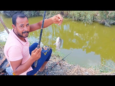 The most beautiful wheat fishing trip in Egypt