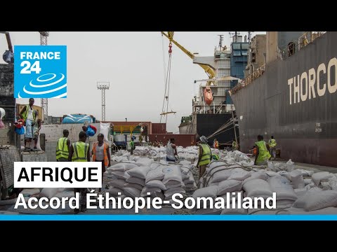 Accord &Eacute;thiopie-Somaliland : la Somalie assure qu'elle d&eacute;fendra son territoire &quot;par tous les moyens&quot;