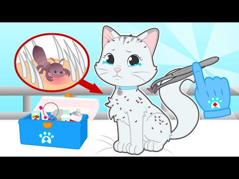 BABY PETS 🐈🪳 Kitty Kira has Lice